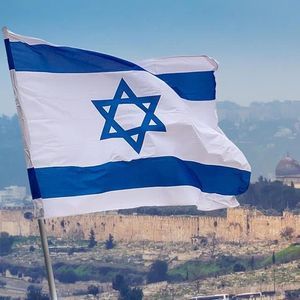 Meet your Posher, Ginger